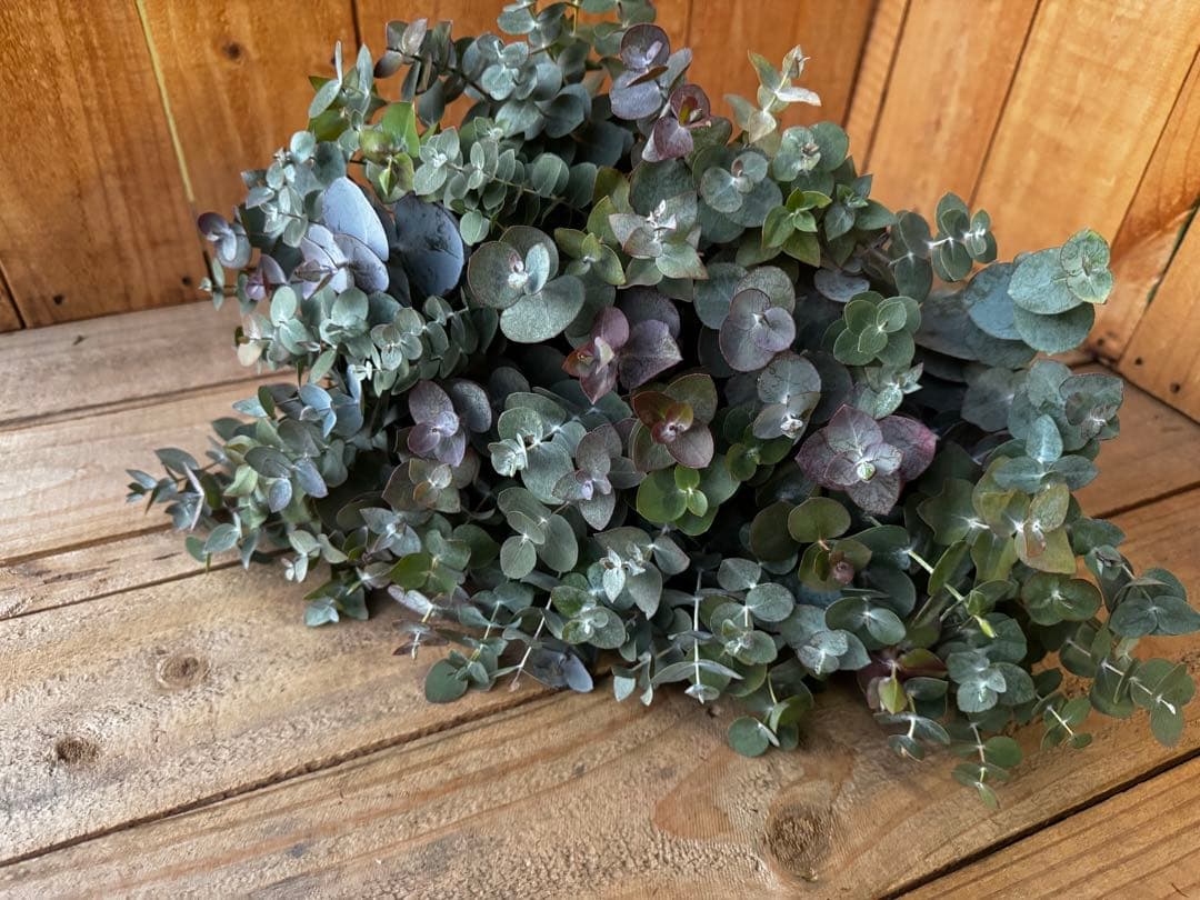 くるみ様 リクエスト 3点 まとめ商品 ◤ #JAEPO2023 #セガプライズ 新作速報◢ 2023年初夏 ＃Luminasta より