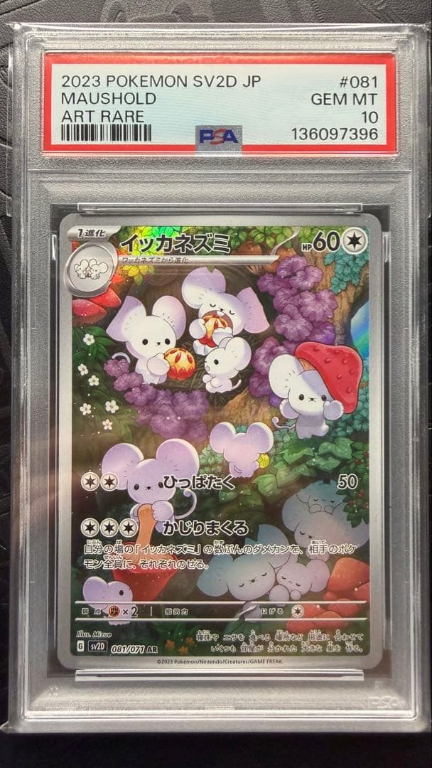 イッカネズミ AR PSA10