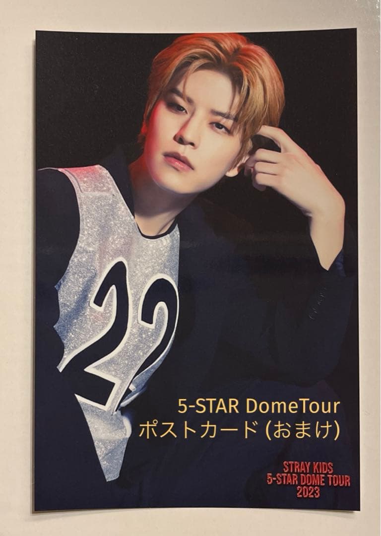 スンミン stray kids スキズ yourhero 入場特典 箔押しサイン - メルカリ
