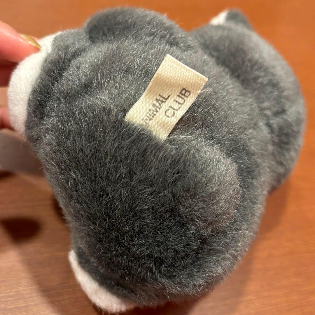 出品停止間近 アニマルクラブ ツキノワグマ ぬいぐるみ - メルカリ