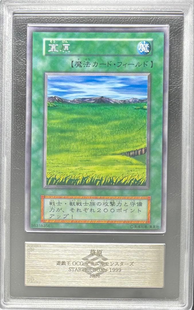 【世界1枚　ARS10+】草原 レア 初期 字レア