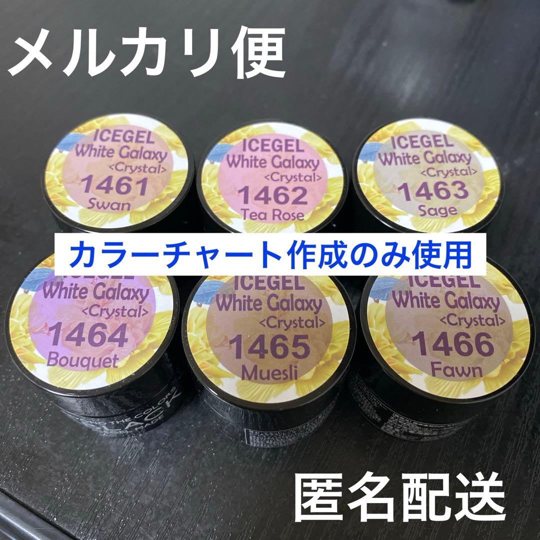 ICEGEL White Galaxy ネイルカラー 6色セット