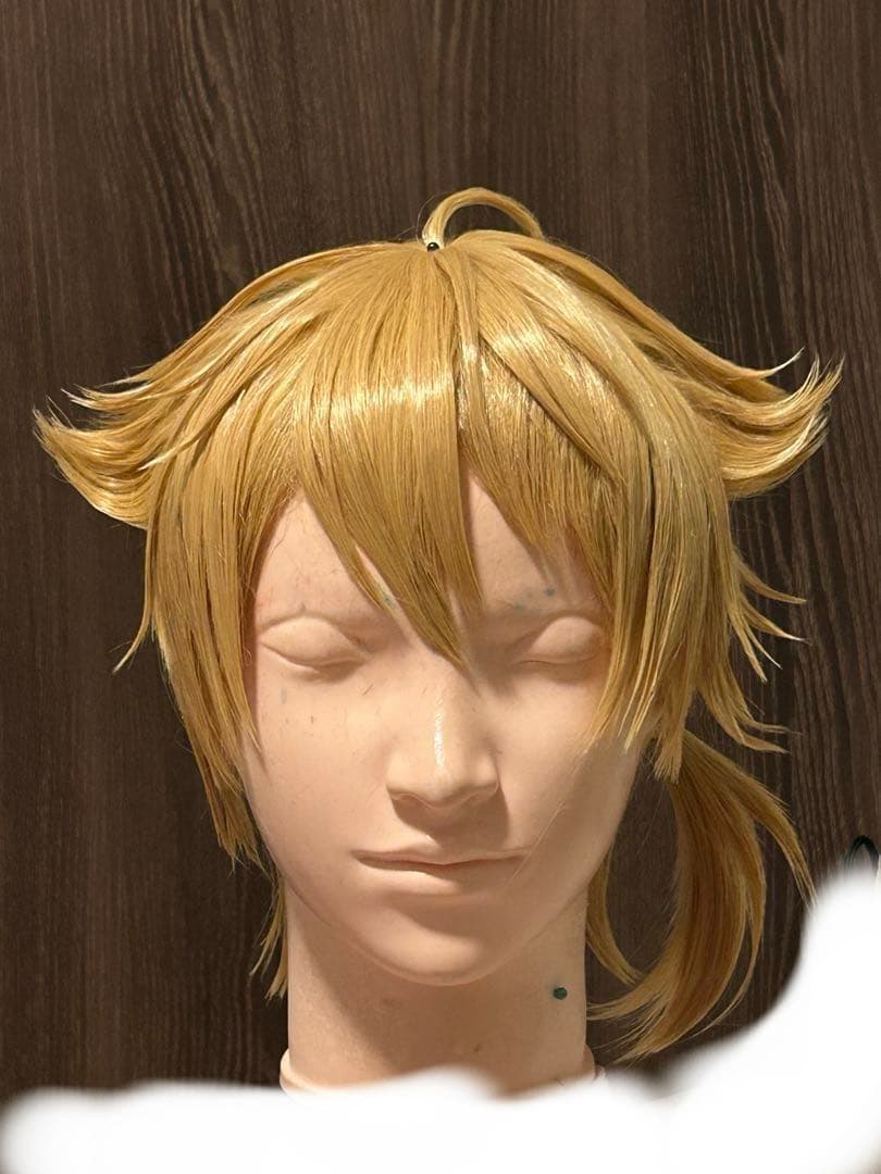 にじさんじ 伏見ガク コスプレ ウィッグ 通常 伏見ガク 伏見 ガク にじさんじ セット済 ウィッグ コスプレ衣装