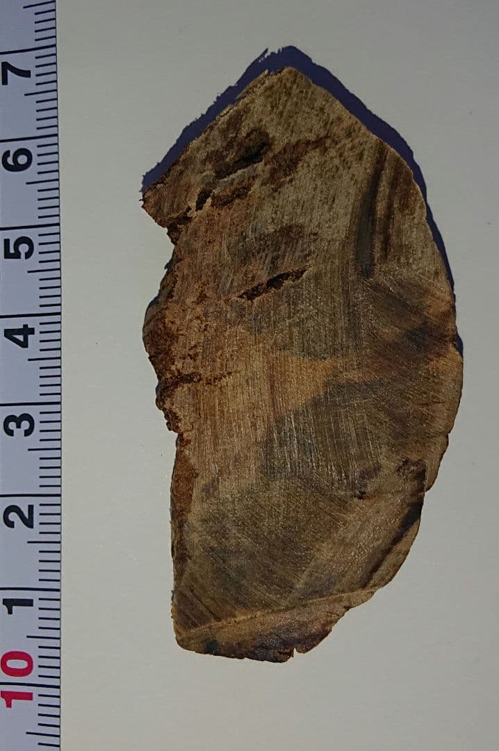 超極レア品 熟成 カンボジア産 黄熟香