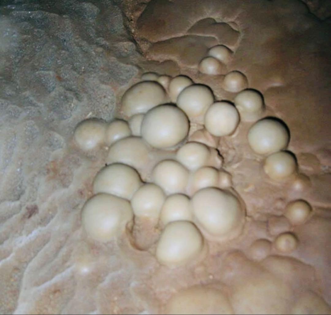 【専用】2点神聖物 レクライのナガアイ プラクルアとブレスレット 9.3mm