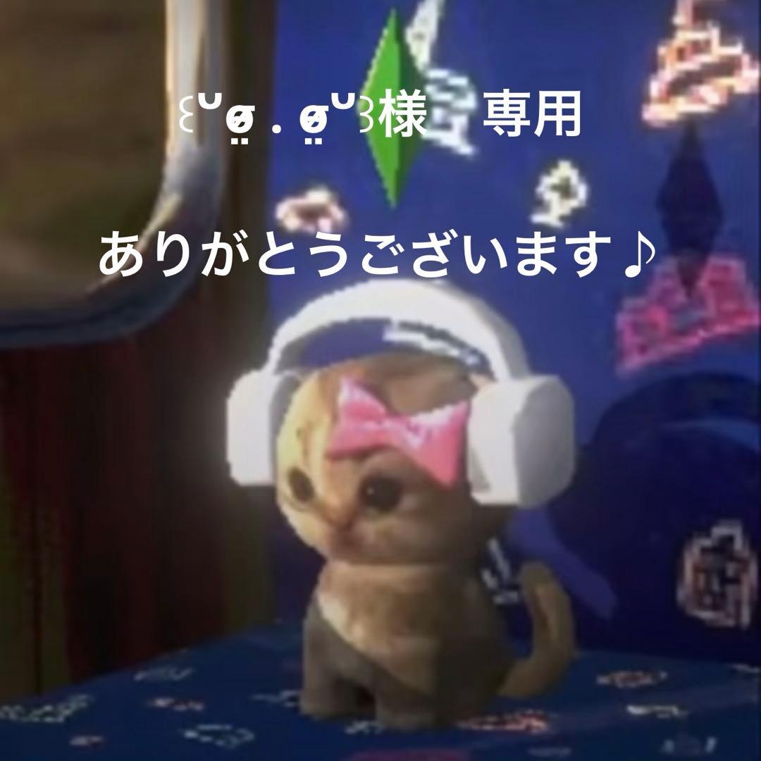 ꒰ᐡσ̴̶̷̤ . σ̴̶̷̤ᐡ꒱