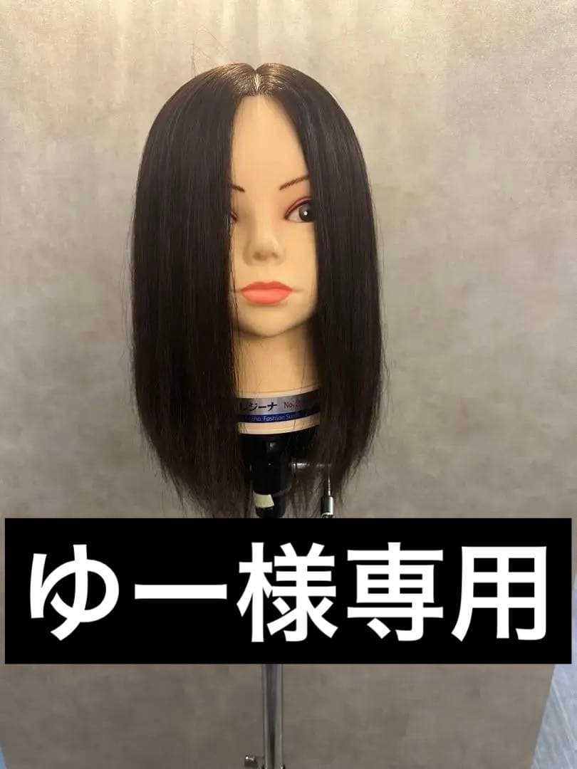 【ゆー】レジーナ337など6体セット！　美容師応援価格　カット練習に。 レジーナ No.R-008 【理容師実技試験/国家試験課題専用/人毛100%】の卸