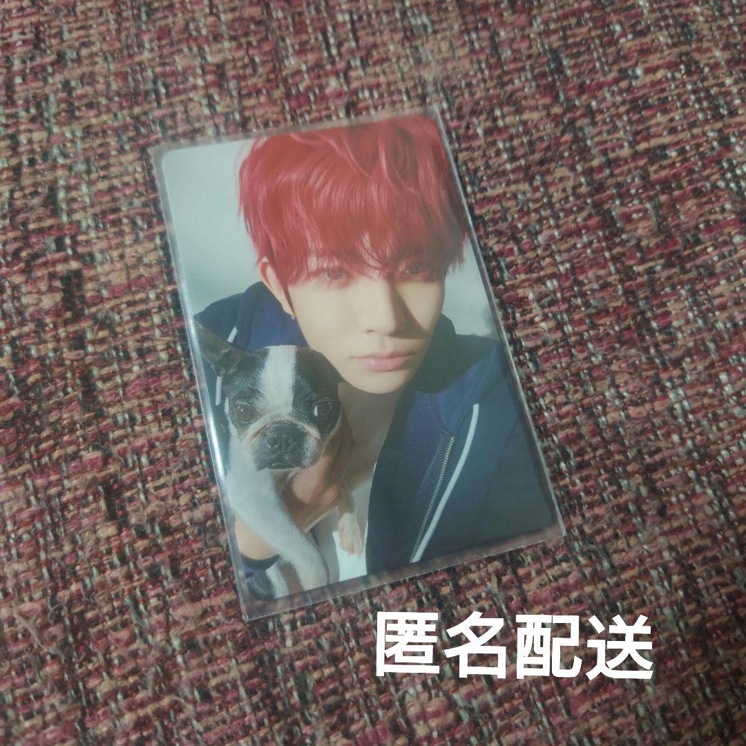 ENHYPEN 2025 アンケートトレカ ヒスン