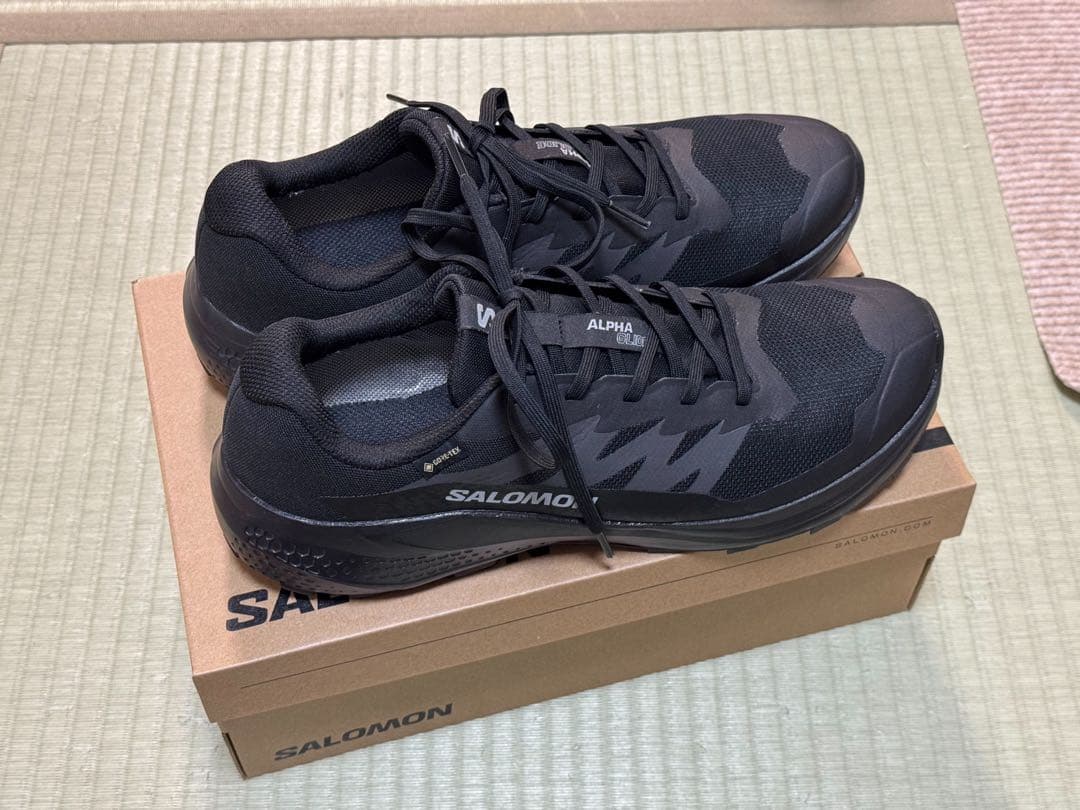 SALOMON(サロモン) ALPHA GLIDE GTX 29.0cm