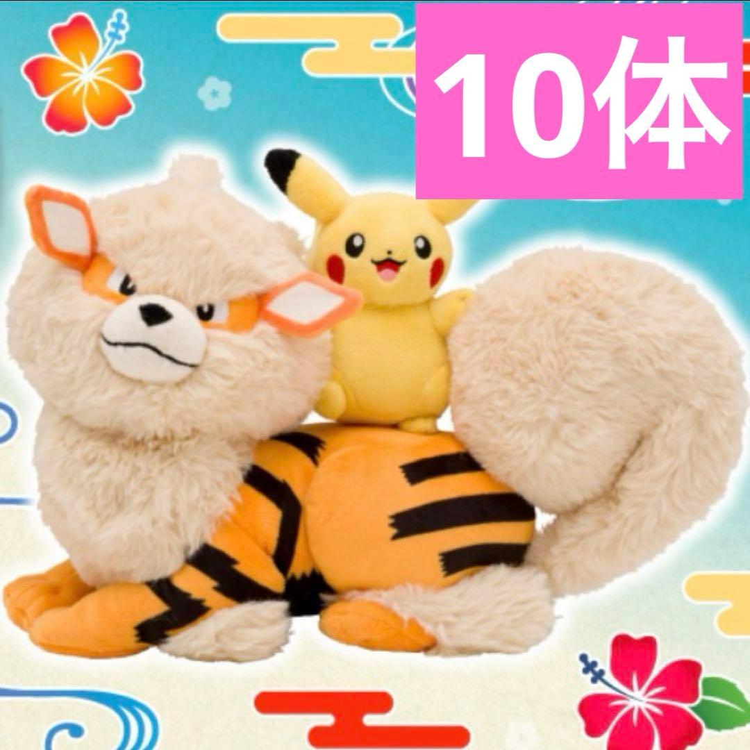 ポケモンセンター　オキナワ限定ウインディとピカチュウぬいぐるみ 10体