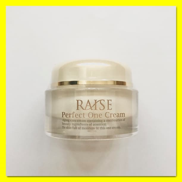 新品 RAISE レイズ パーフェクトワンクリーム オールインワン 1個