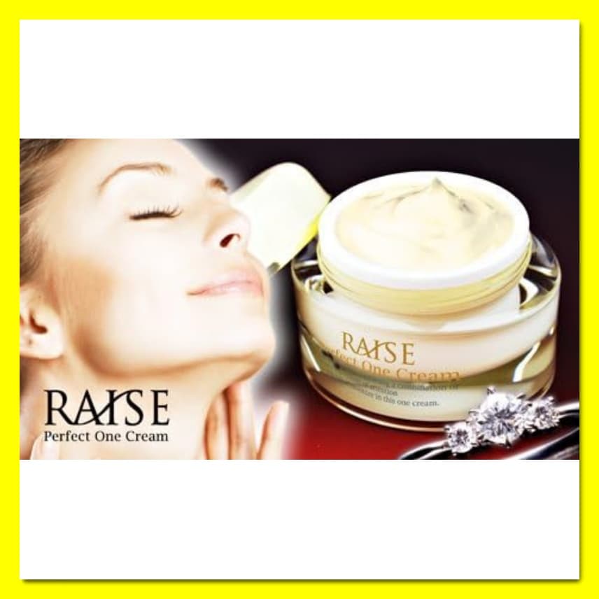 新品 RAISE レイズ パーフェクトワンクリーム オールインワン 1個