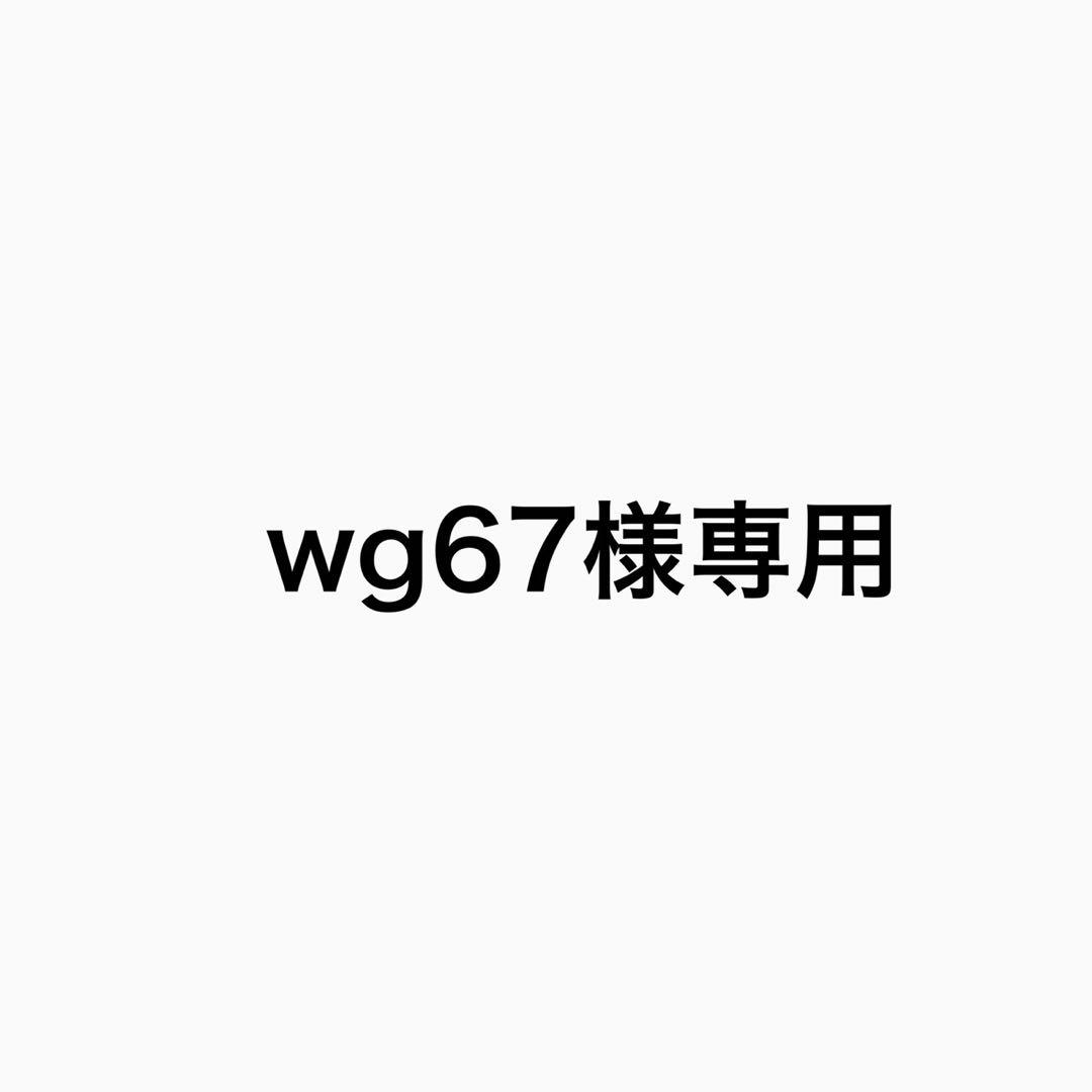 トップス wg67