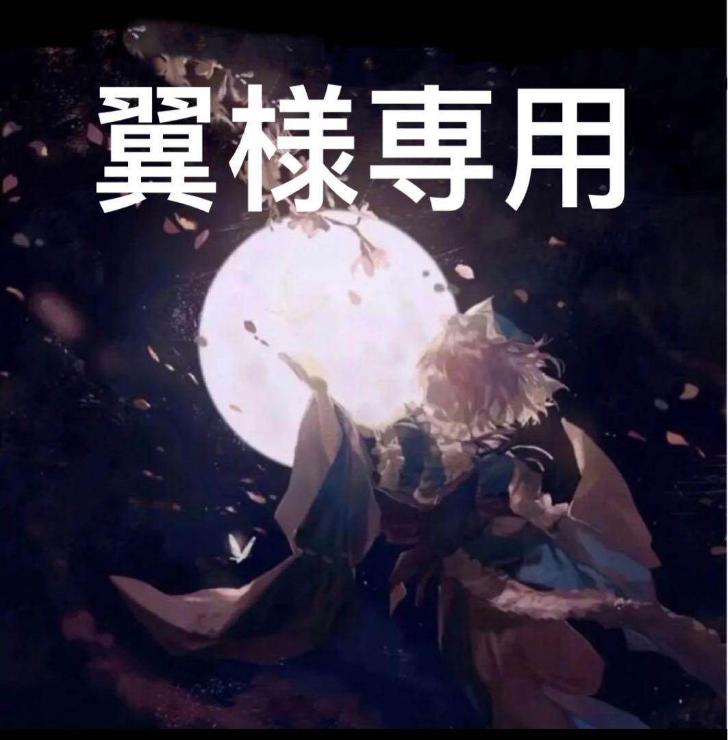 翼 259810-001jpg.jpg?v=1717594796