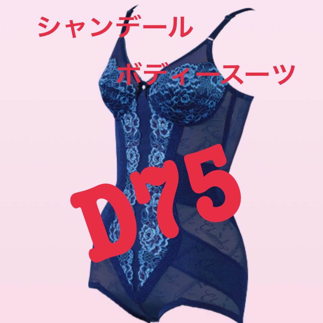 シャンデールシャルムボディースーツD75！美しいボディーライン　ヒップラインへ！
