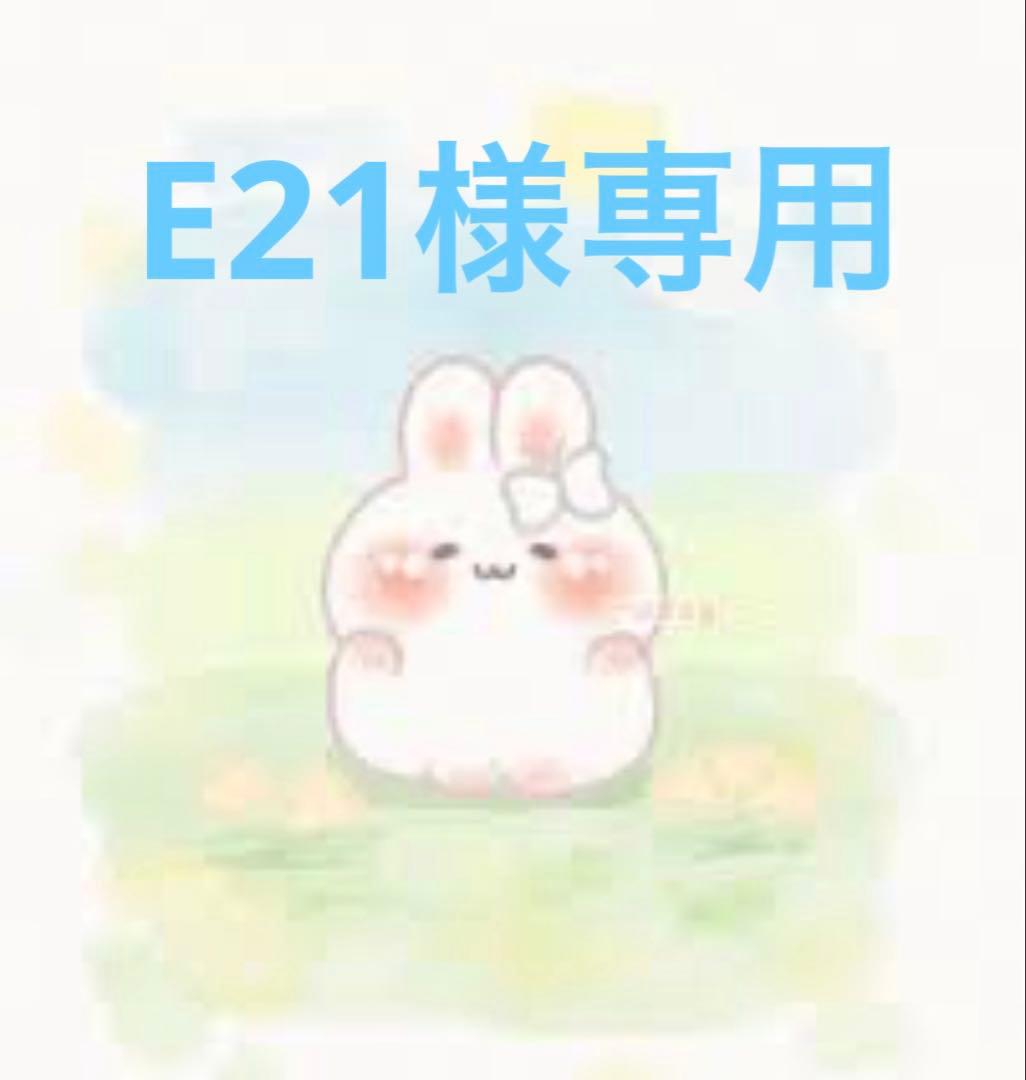 洗顔料 E21