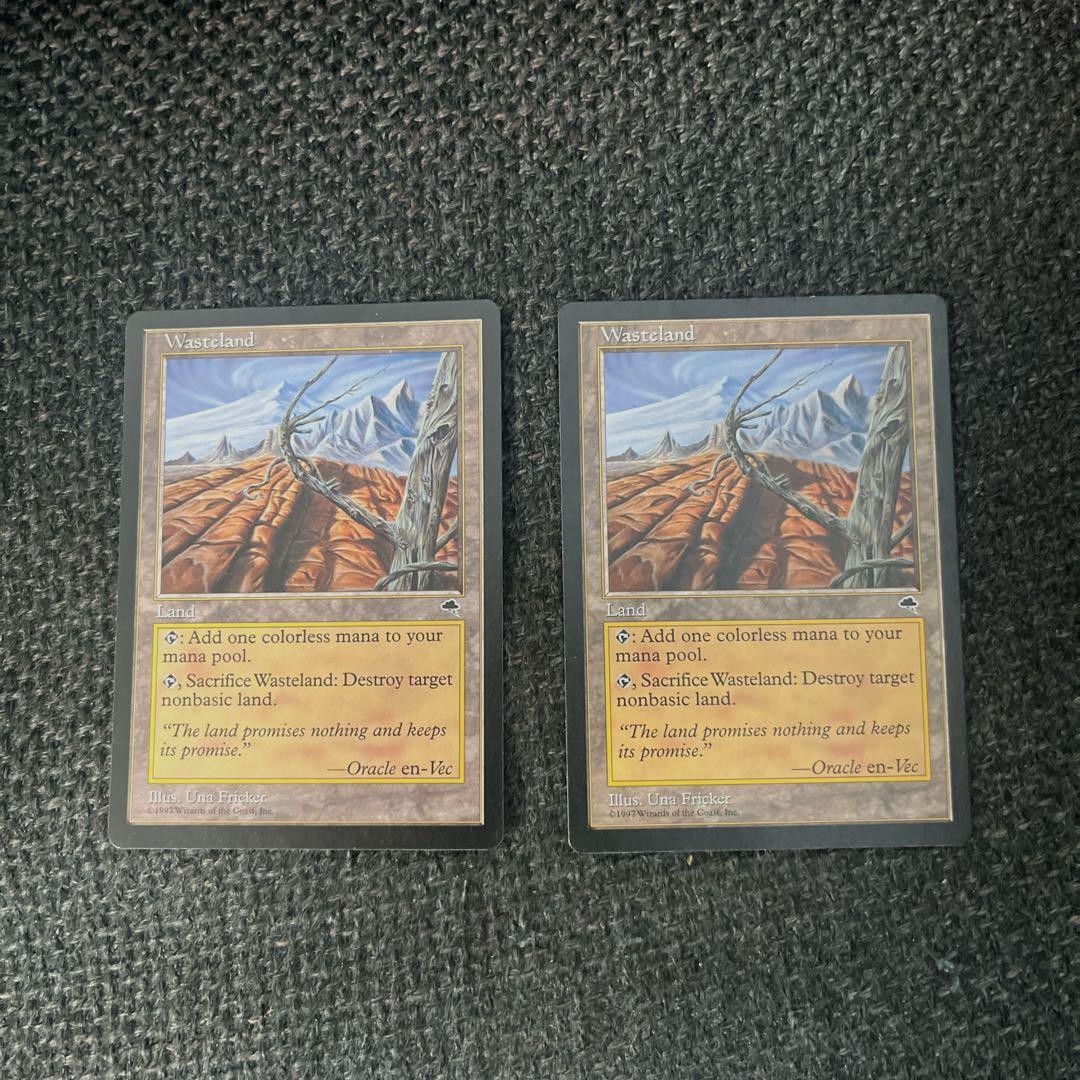 MTG 不毛の大地 英語 2枚