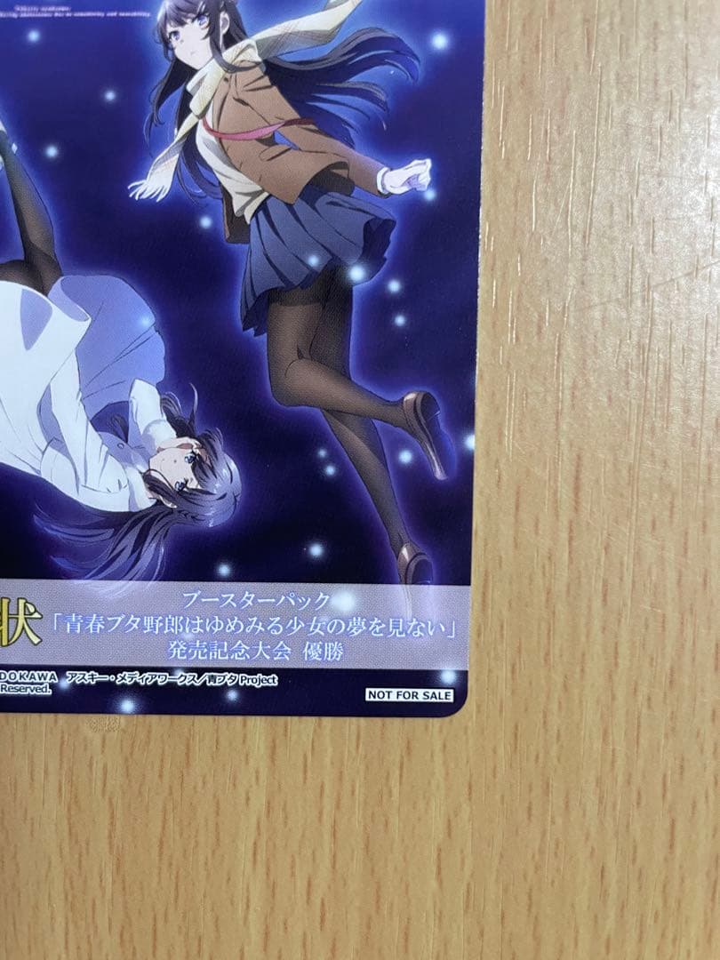 青ブタ 桜島麻衣 ヴァイス 表彰状 タイトルカップ 牧之原翔子 敢闘賞