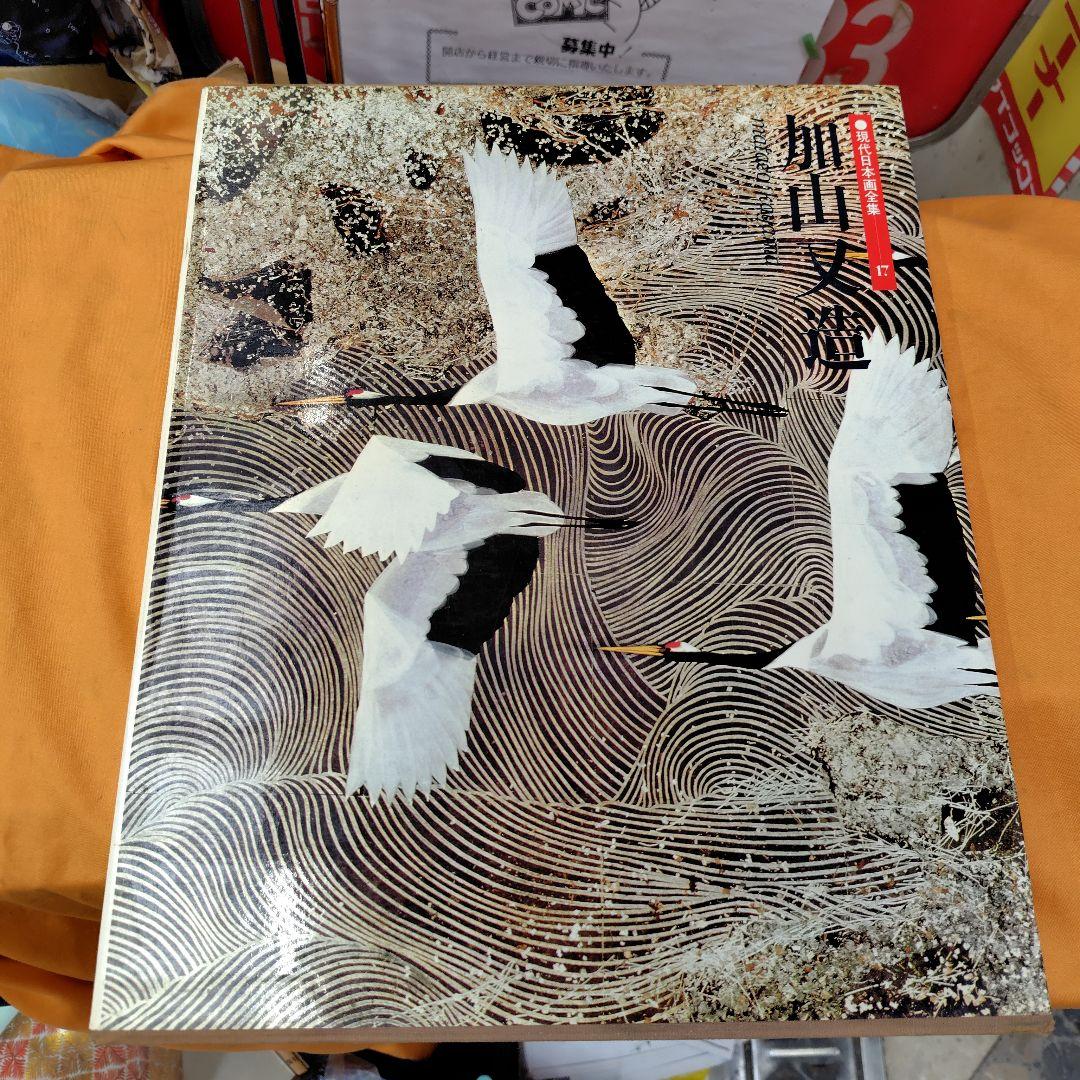 加山又造 現代日本画全集 17 - メルカリ