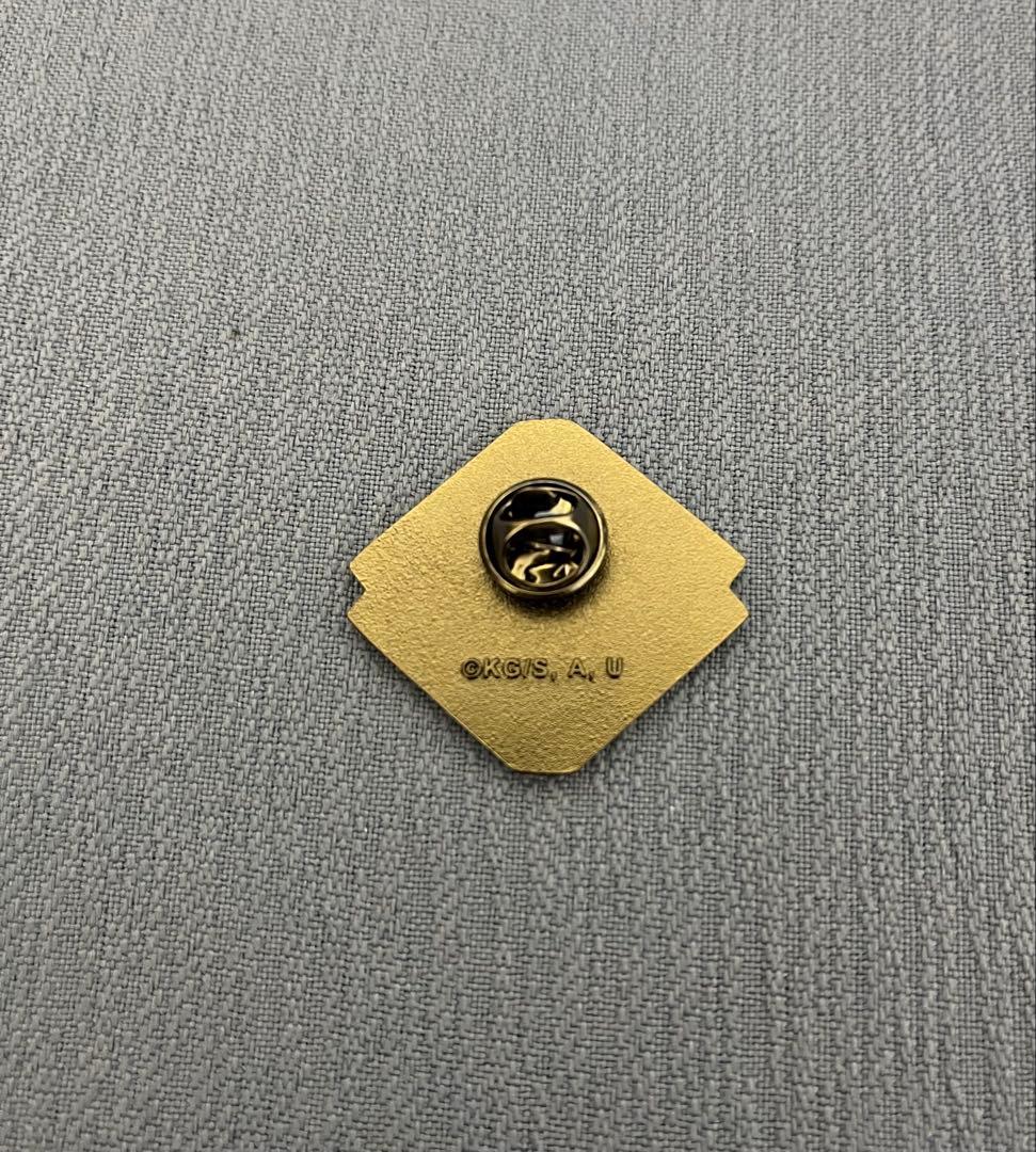 未使用・美品 鬼滅の刃 伍周年記念 後夜祭 キャラクターモチーフピンズ