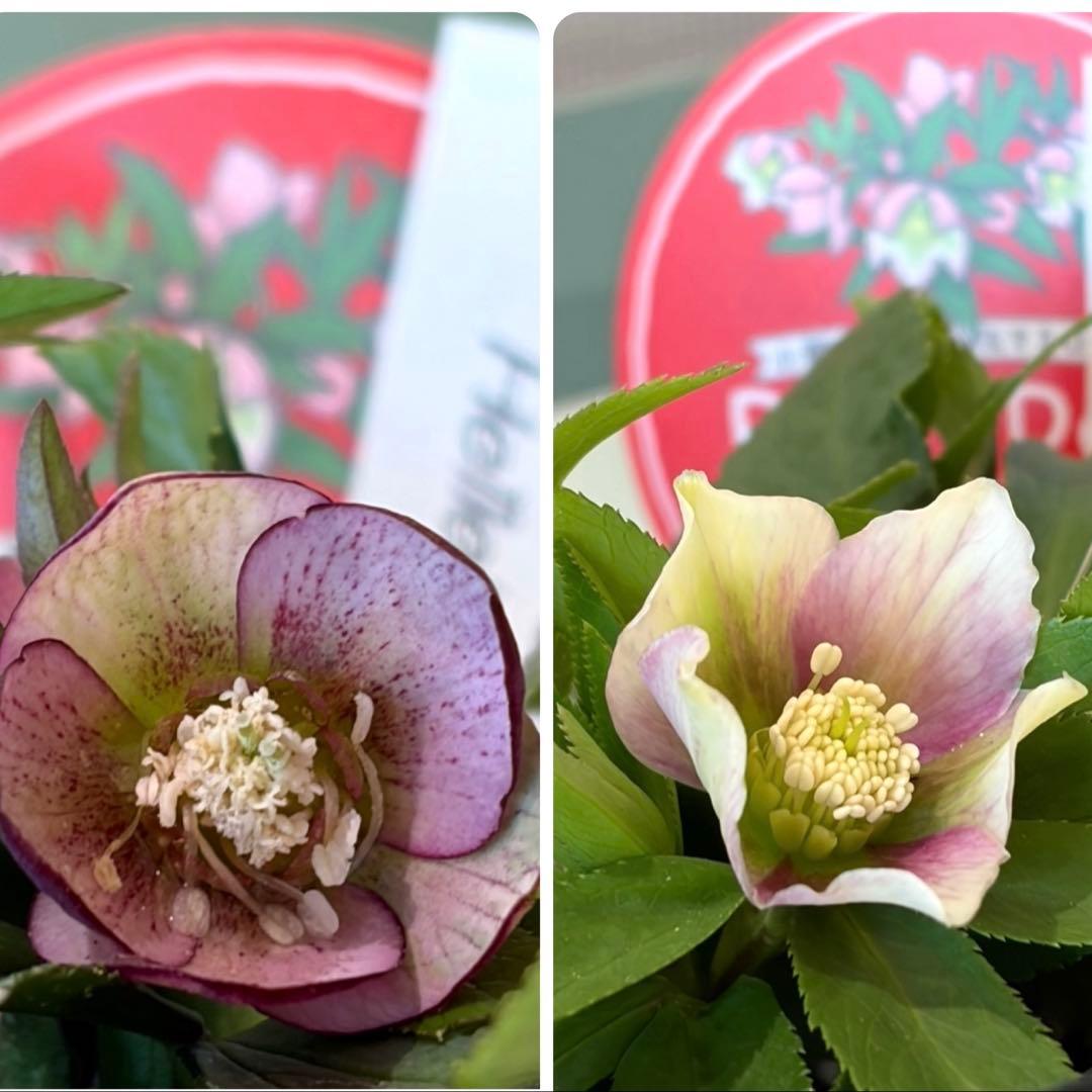 まい様　リクエスト　おまとめ2点