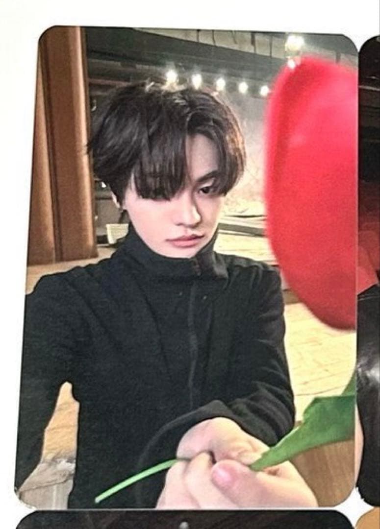 ALD1 人気歌謡　サノク　チューリップ　トレカ　リオ