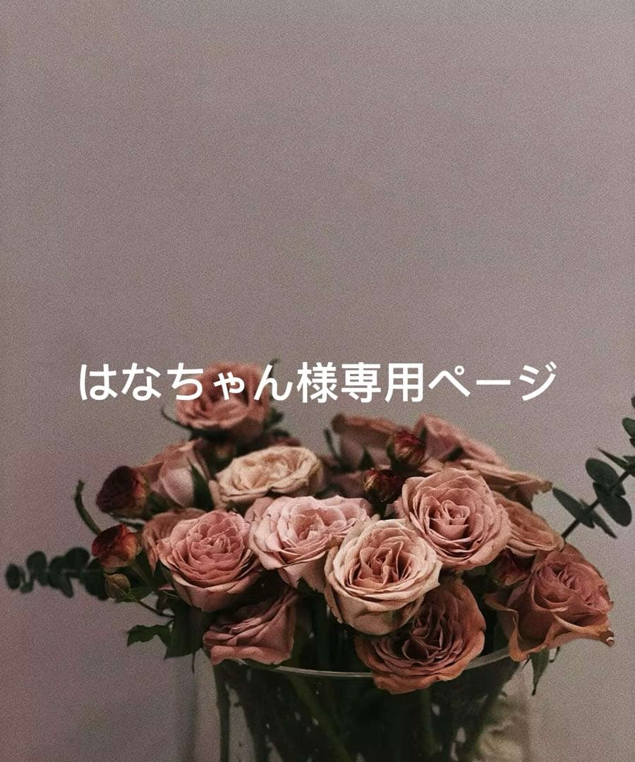はなちゃんページ