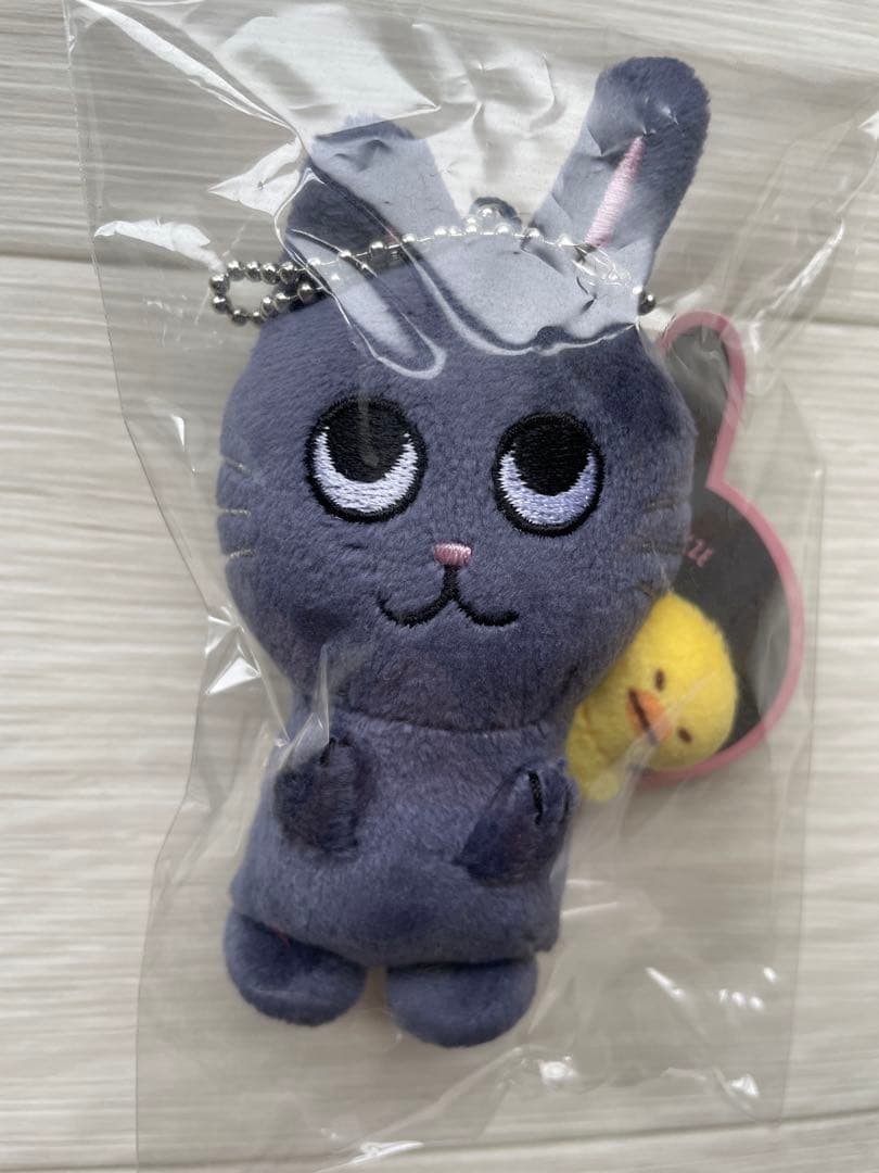 公式グッズ RIIZE ウォンビン ぬいぐるみ - メルカリ