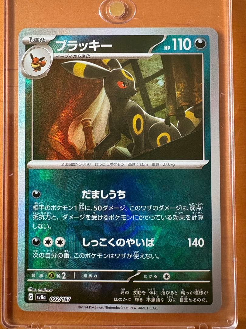 ブラッキー　マスターボール柄　マグネットローダー付き