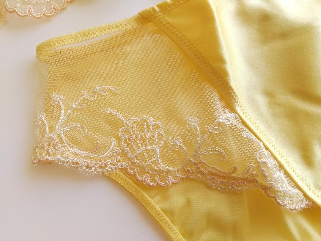 専用＊SALE＊《リズシャルメル》Splendeur Soie　ブラセット