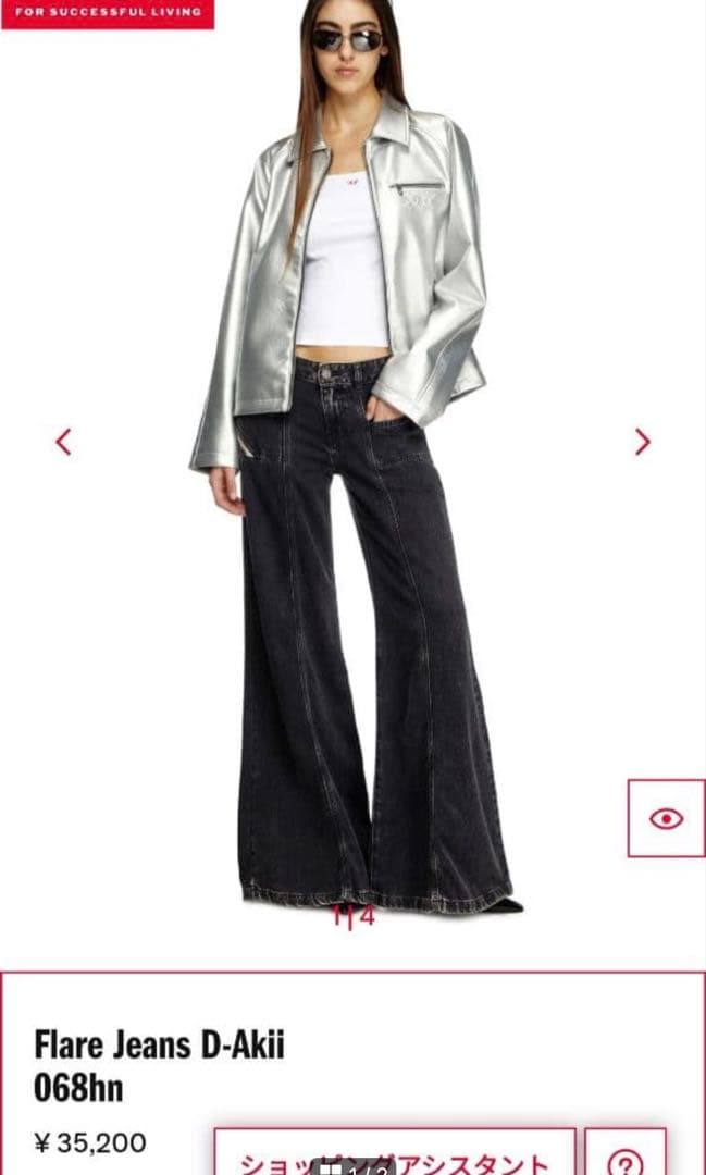 Diesel ディーゼル　Flare Jeans D-Akii ブラック