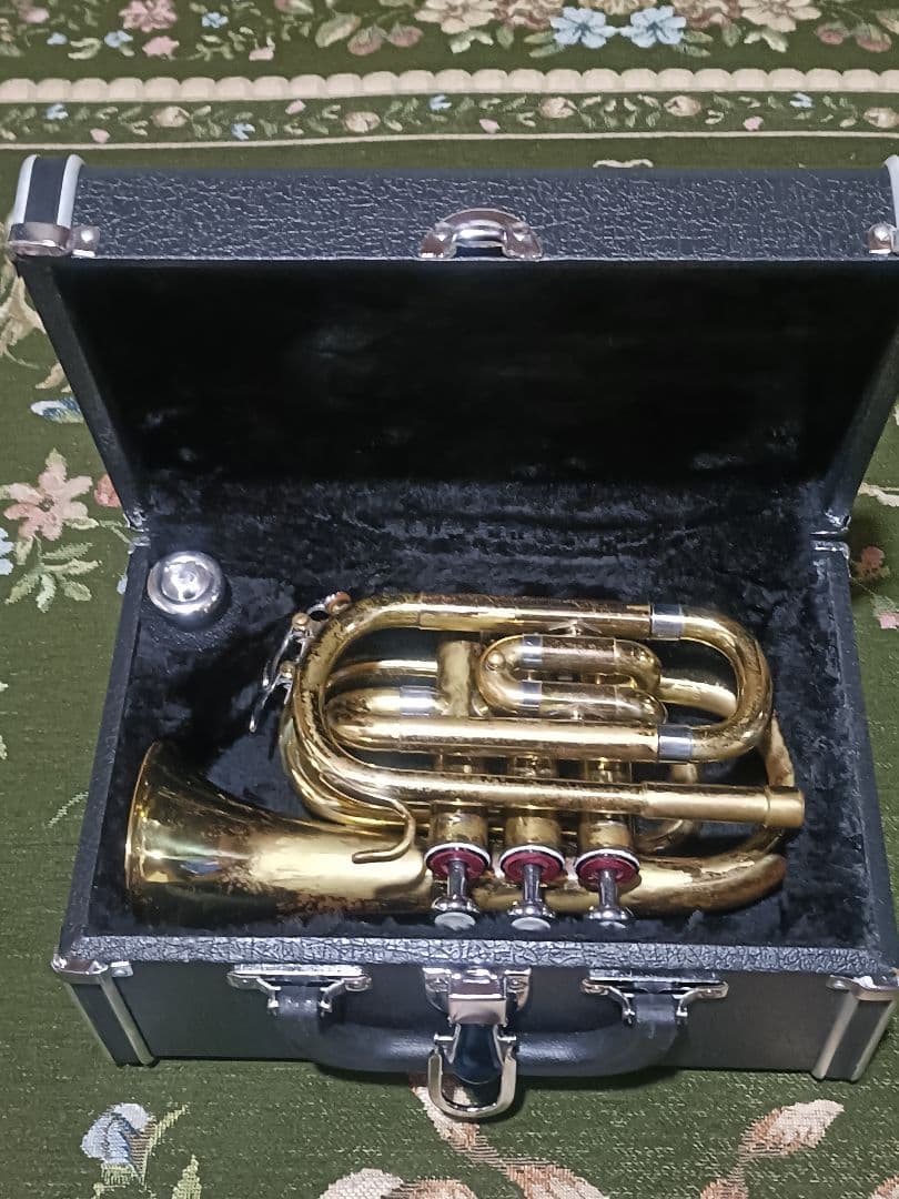 日*1様 Splendor 国産ビンテージ ポケットトランペット 2026年最新】splendor トランペットの人気アイテム - メルカリ