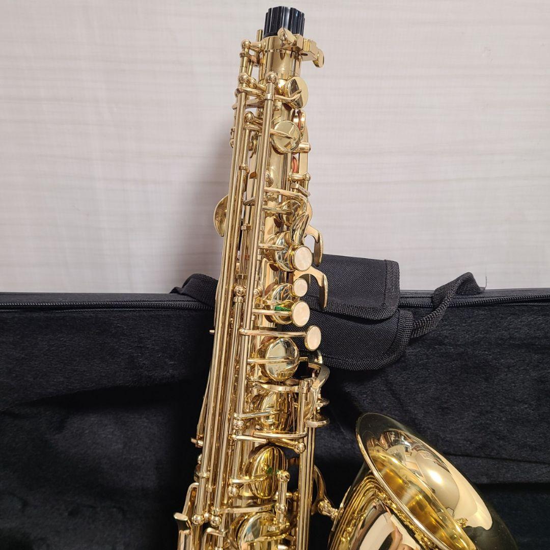 美品 テナーサックス SELVA 管楽器 ケース付 彫刻 セット アルト