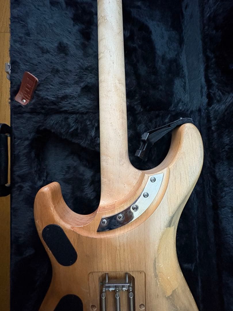 極美品 Washburn N4 Authentic ClipLock付き本人仕様 - メルカリ