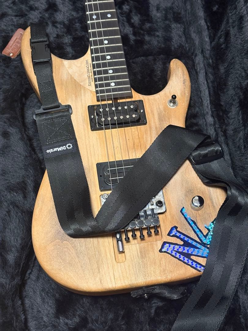 極美品 Washburn N4 Authentic ClipLock付き本人仕様 - メルカリ