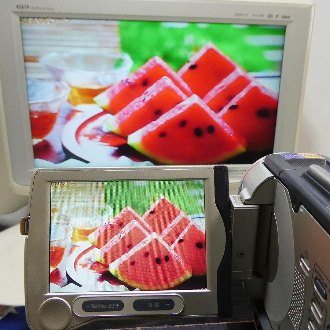 ソニーDCR-TRV30 【動作良好】MiniDV ビデオカメラ ダビングに最適