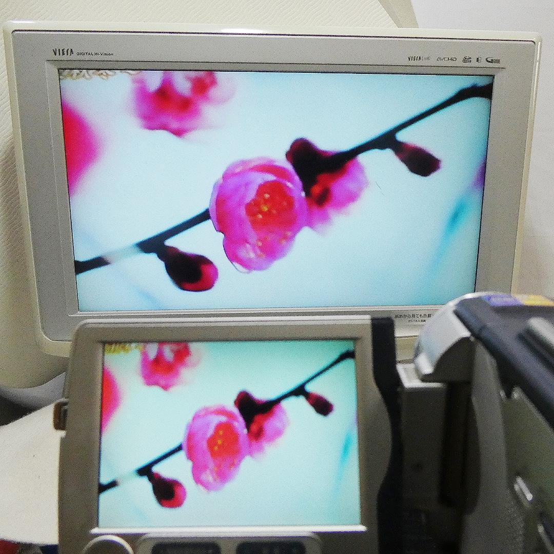 ソニーDCR-TRV30 【動作良好】MiniDV ビデオカメラ ダビングに最適