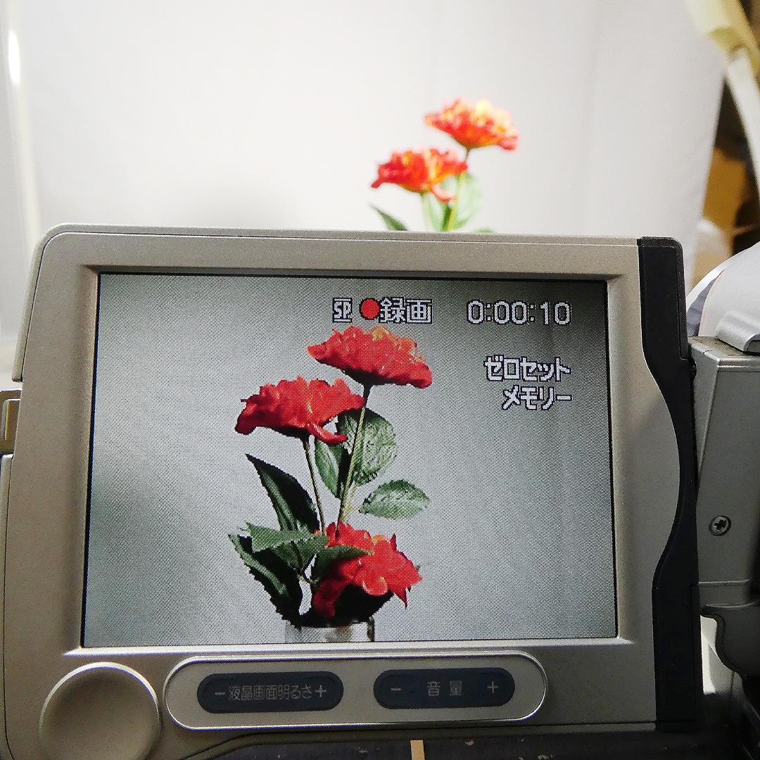 ソニーDCR-TRV30 【動作良好】MiniDV ビデオカメラ ダビングに最適