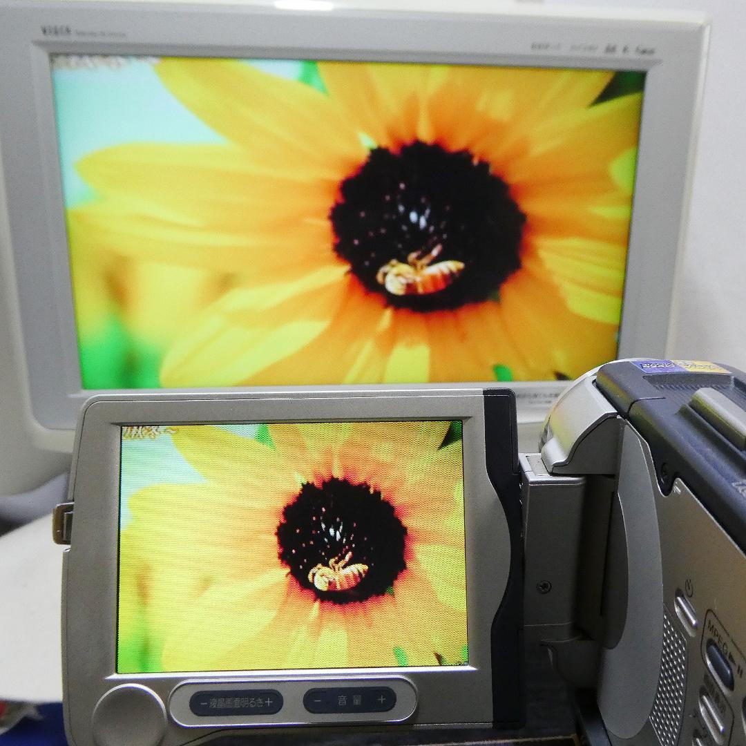 ソニーDCR-TRV30 【動作良好】MiniDV ビデオカメラ ダビングに最適