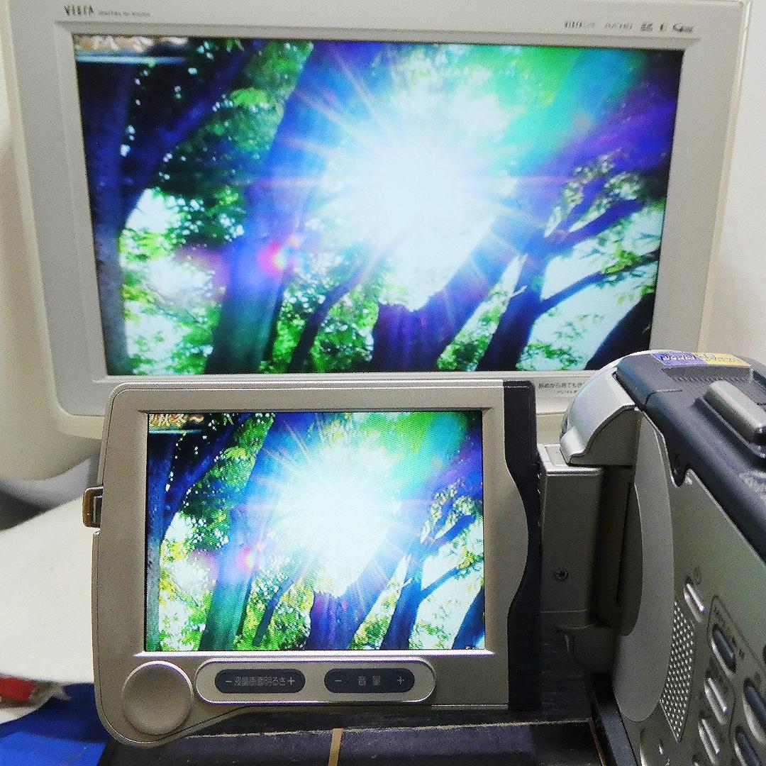 ソニーDCR-TRV30 【動作良好】MiniDV ビデオカメラ ダビングに最適