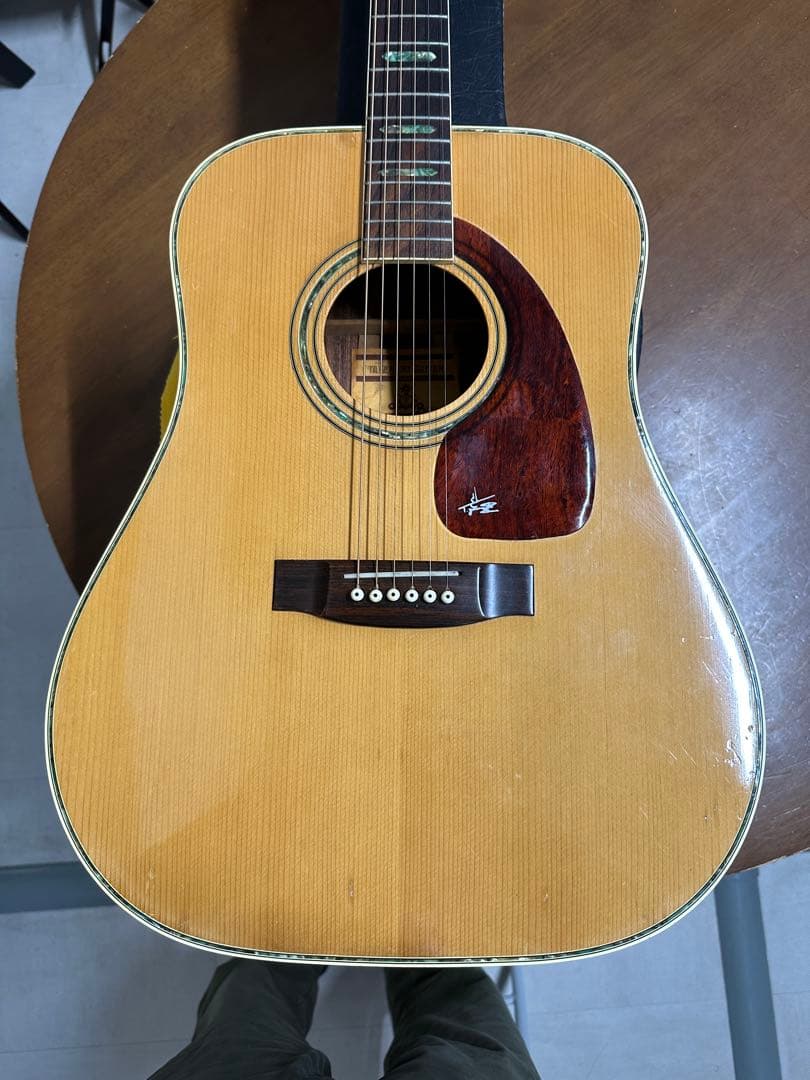 義*様 美品❗️タケハルギターWT-300 弾きやすさ抜群‼️ - メルカリ