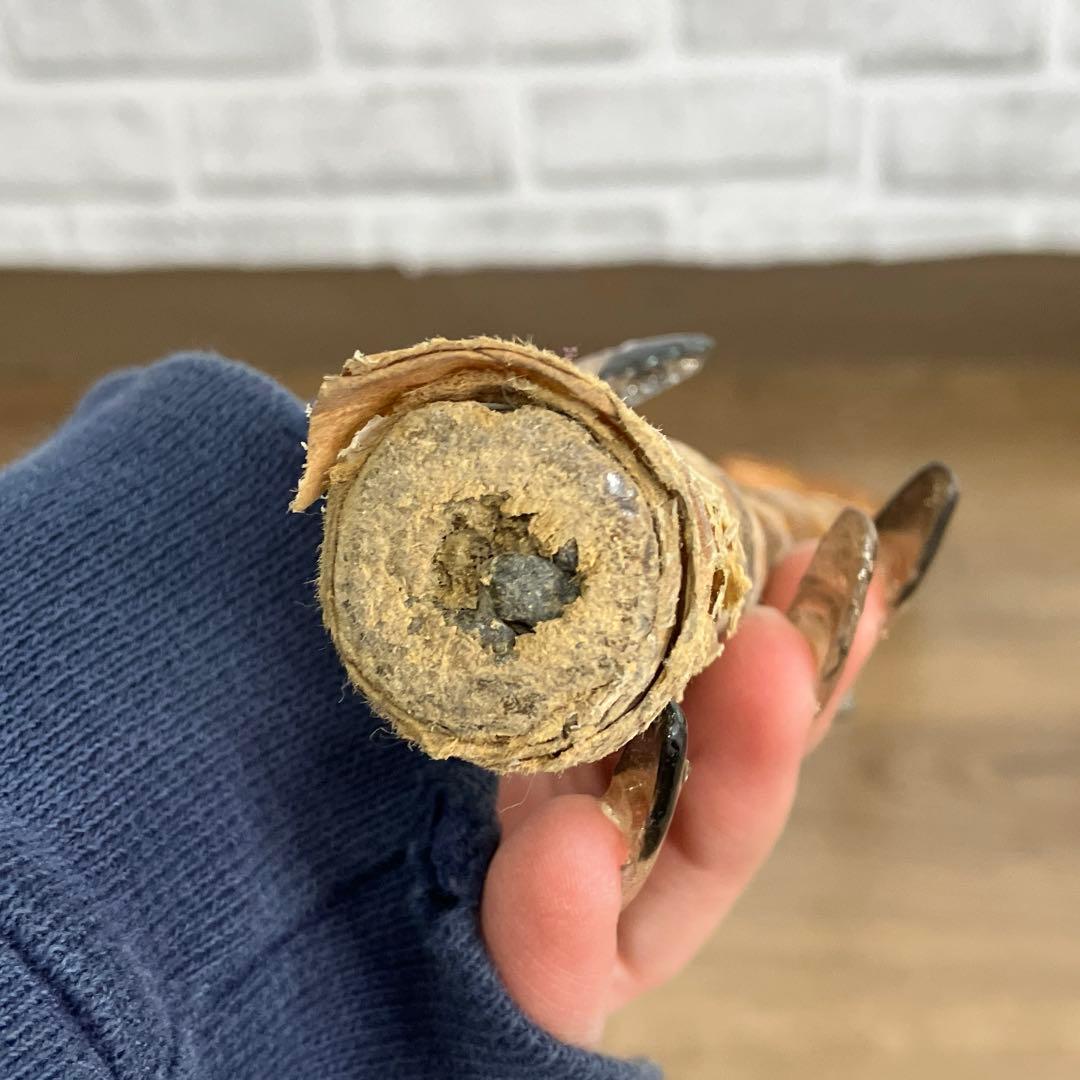 困難な根曲竹ステッキ復刻計画 - 竹虎四代目がゆく！ B-2 天然素材