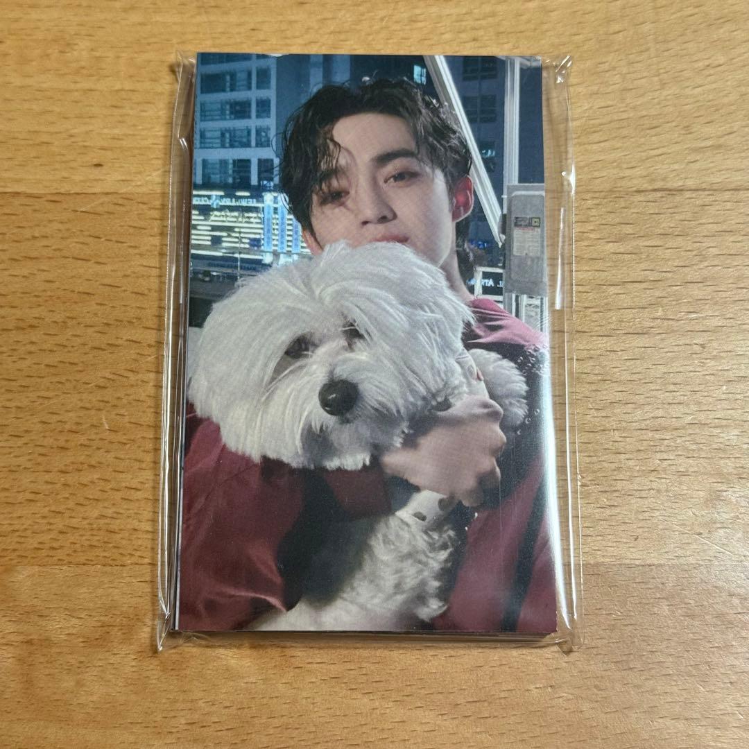 SEVENTEEN FML 会場限定 東京 LOVE トレカ