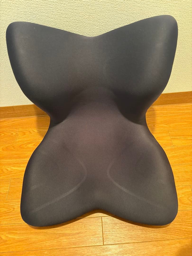 スタイル プレミアム シリーズStyle PREMIUM Series ブラック