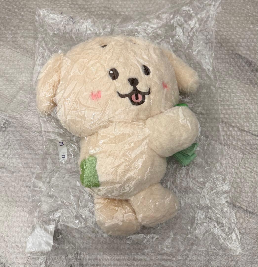 NCT WISH ジェヒ デントリバー バッグ ソウルコン カバン キャラクター