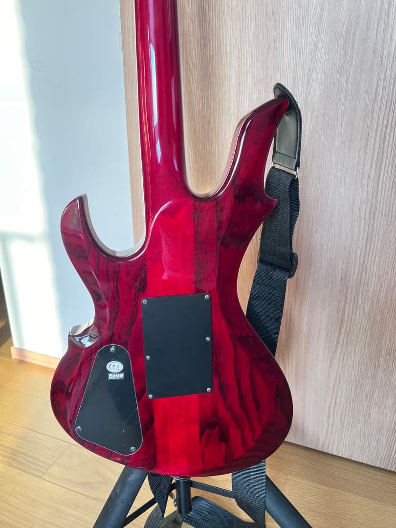 グラスルーツ エレキギター ナイトメア 柩モデル - メルカリ