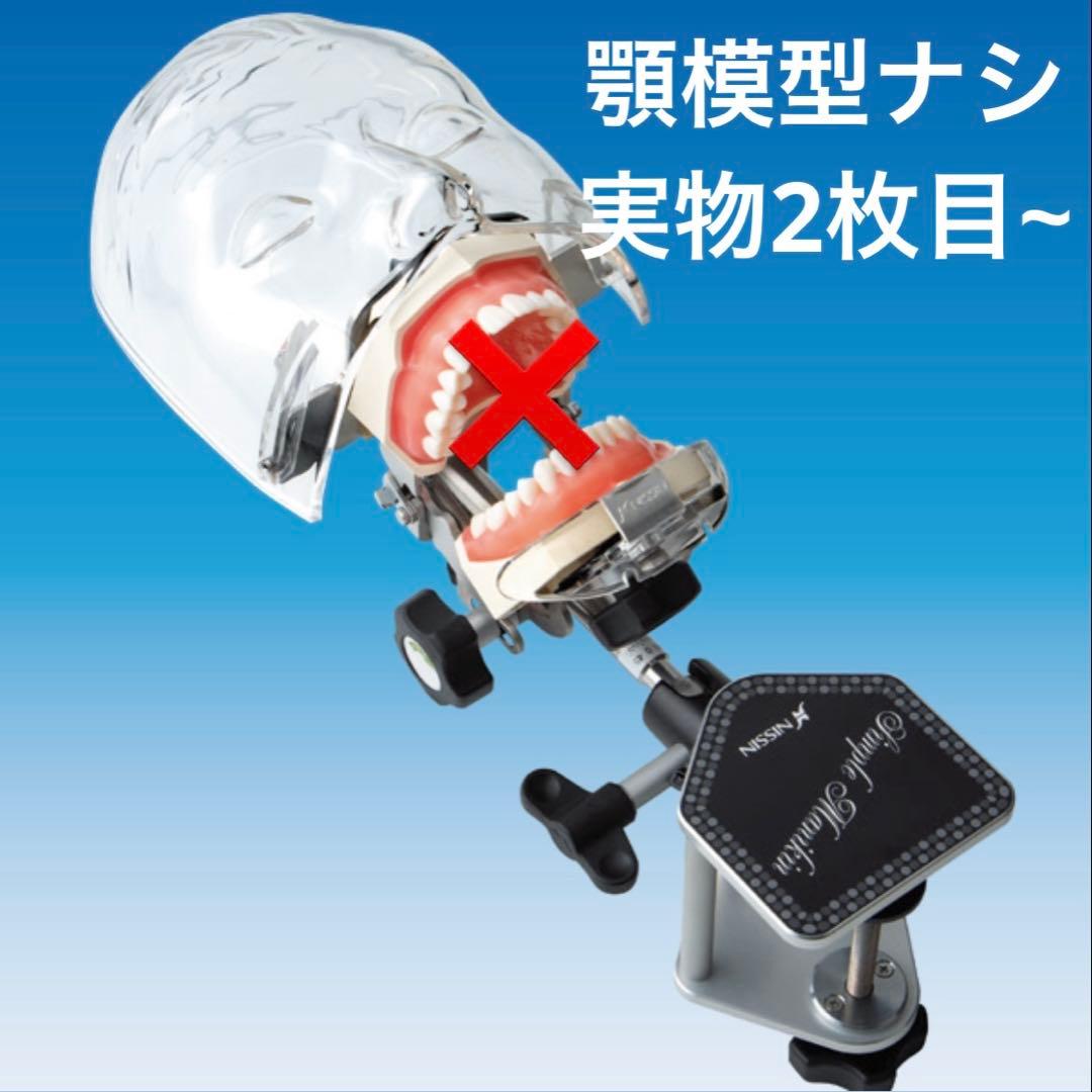 NISSIN 歯科 シンプルマネキン - メルカリ