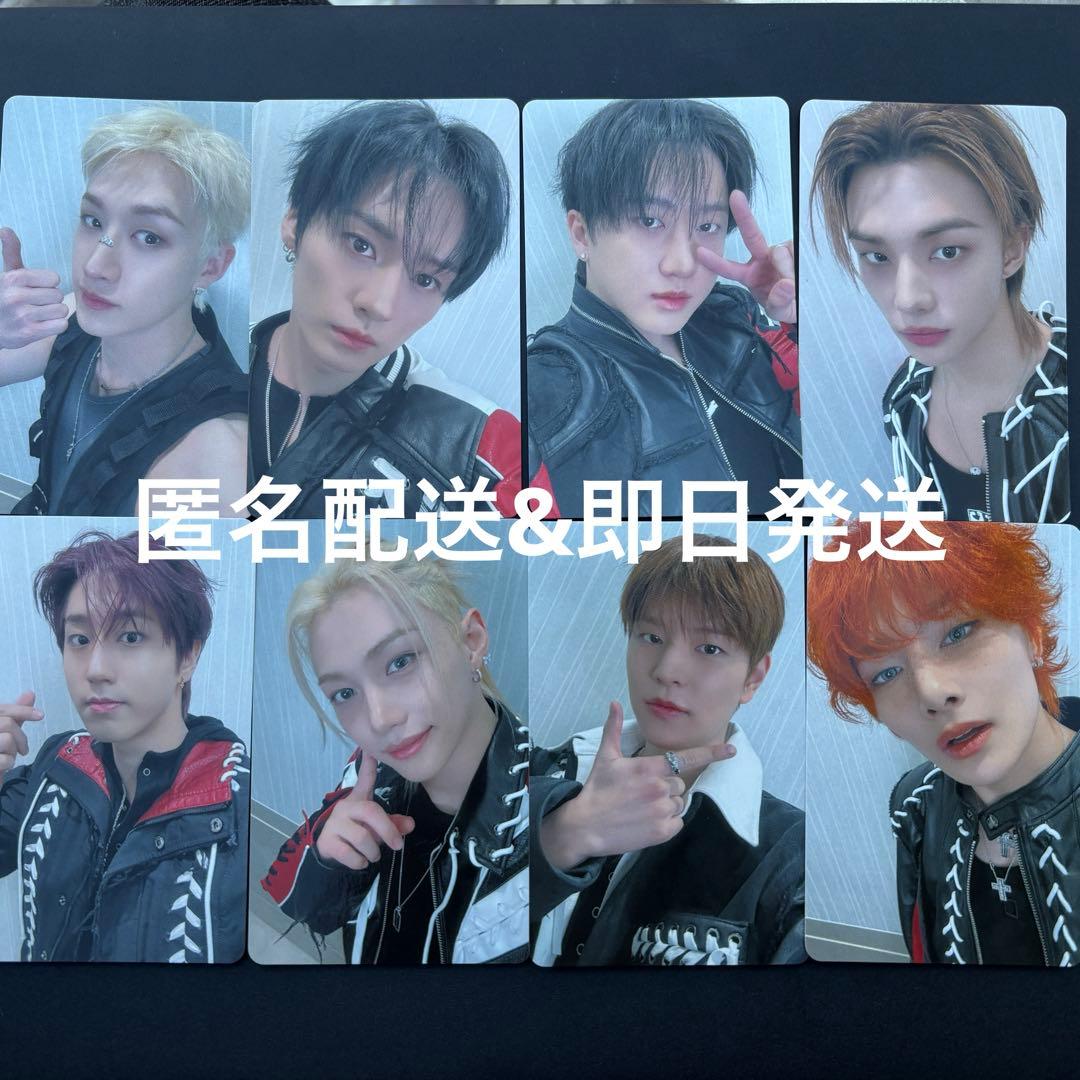 straykids hollow オフイベ 幕張 会場限定 トレカ 8枚 コンプ