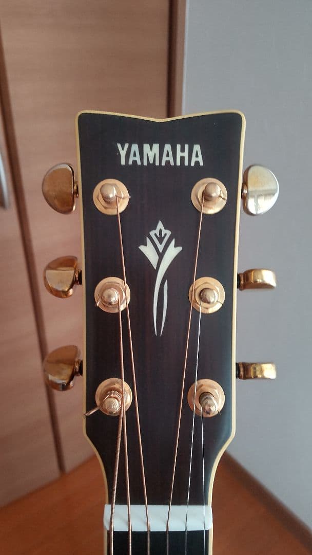 YAMAHA DW-8 ハードケース付 ヤマハ アコースティックギター - メルカリ
