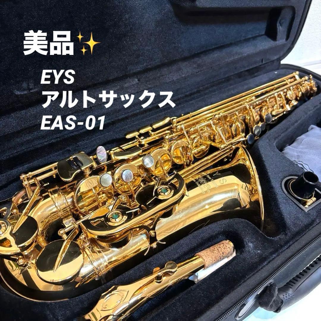 EYS アルトサックス EAS-01 ケース、クリーニング用品付